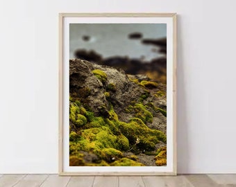 Moss Wall Art Print- Decoración natural de la pared- Fotografía de la naturaleza- Arte de la pared Zen- Decoración de la Academia Oscura- Arte Oscuro- Arte de la cafetería- Arte imprimible