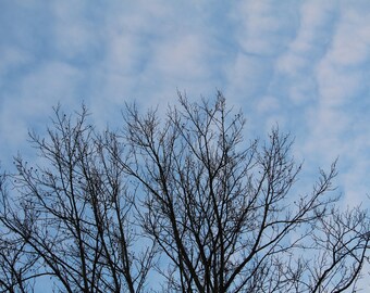 Sky- Photo