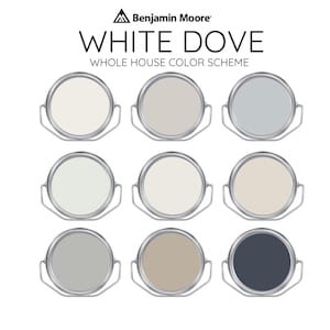 WHITE DOVE Benjamin Moore Interior Paint Palette -Prepacked Paint palette, Modern Interior Paint - Whole House Paint Colors