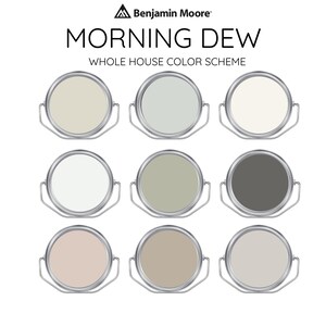 MORNING DEW Benjamin Moore Interior Paint Palette -Prepacked Paint palette, Modern Interior Paint - Whole House Paint Colors