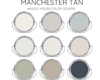 MANCHESTER TAN Benjamin Moore Interior Paint Palette -Prepacked Paint palette, Modern Interior Paint - Whole House Paint Colors