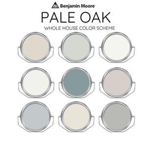 Palette di vernici per interni Benjamin Moore PALE OAK - Palette di vernici preconfezionate, vernici per interni moderne - Colori per vernici per tutta la casa