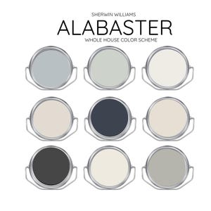 ALABASTER Sherwin williams  Interior Paint Palette -  Prepacked paint palette, Modern Neutral Interior Paint - Whole House Paint Colors
