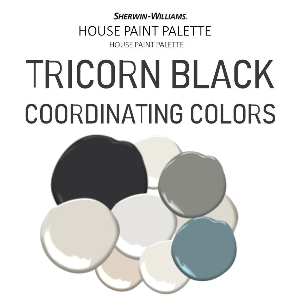 TRICORN BLACK Coordinating Colors Modern Interior Home Etsy