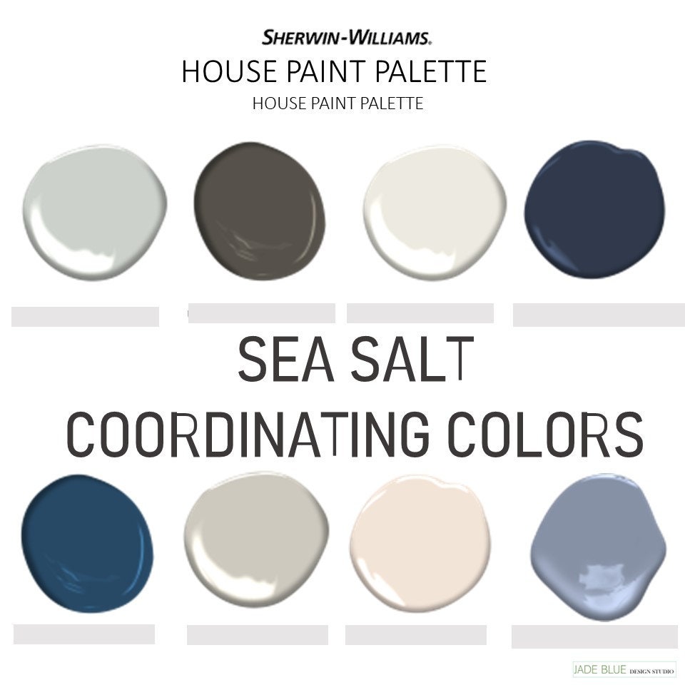 SEA SALT Coordinating Colors Modern Interior Home Prepacked Etsy