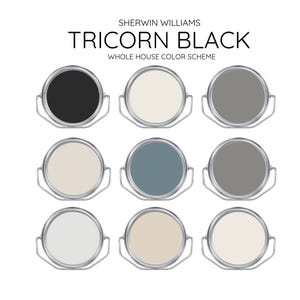 TRICORN BLACK coordinating Colors Modern interior home- Pre-packed paint palette - Sherwin Williams paint - Whole House Paint Colors