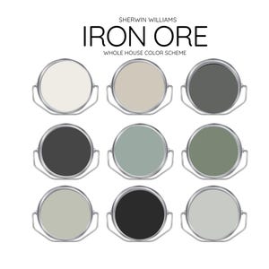 IRON ORE coordinating Colors Modern interior home- Pre-packed paint palette - Sherwin Williams paint - Whole House Paint Colors