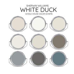 WHITE DUCK Sherwin williams  Interior Paint Palette -  Prepacked Paint palette, Modern Neutral Interior Paint - Whole House Paint Colors