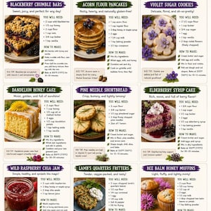 Op de afbeelding: Een receptenposter getiteld Sweet Treats from the Wild met negen secties met instructies voor bramencrumble-repen, eikelmeel-pannenkoeken, viooltjessuikerkoekjes, paardenbloem-honingcake, dennennaald-shortbread en vlierbessensiroopcake.