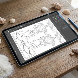 Può includere: Un tablet digitale mostra un'illustrazione in bianco e nero di foche e tartarughe, probabilmente per un progetto artigianale. Il tablet è su un tavolo di legno, circondato da conchiglie e uno stilo blu.