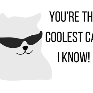 Cool Cat (notecard)