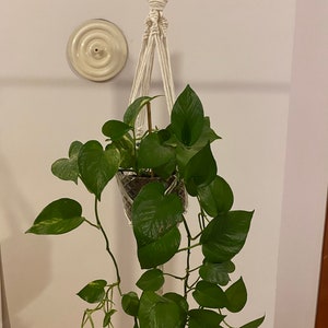 Macrame Plant Hanger, Boho Plant Holder, Ceiling Planter, Christmas Gift