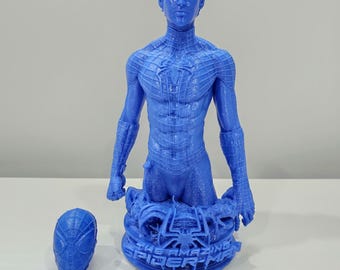 Spiderman - Andrew Garfield 3D Print