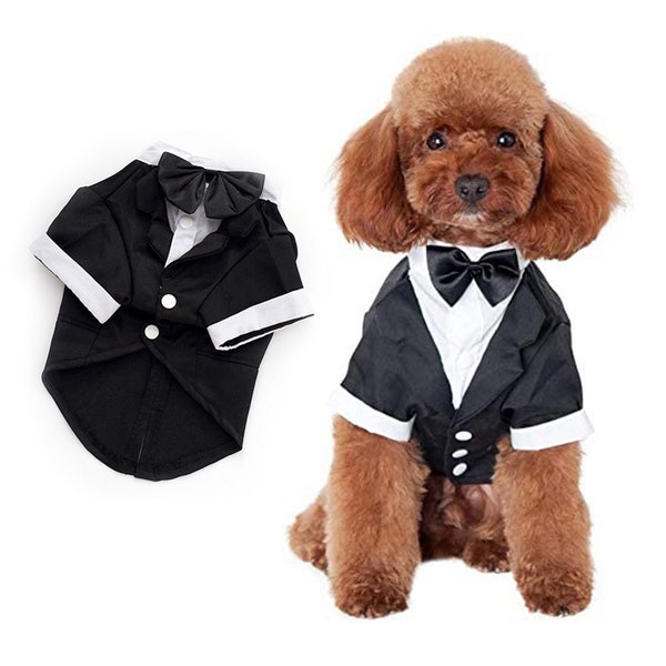 Dog Tuxedo, Dog Of Honour, Dog Wedding, Formal Shirt, Dog Top, Dog Best Man, Best Dog, Dog Suit, Puppy Suit, Suit for Pets, Pet Tuxedo