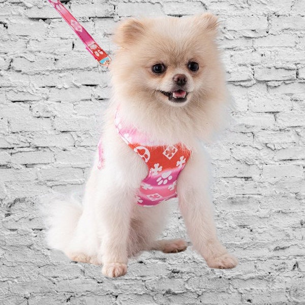 Designer Style Dog Harness, Cute Dog Harness, Dog Vest, Cute Dogs, Dog Gift, Pet Harness, Dog Lover, Designer Dogs, Luxury Dog, Pet Apparel
