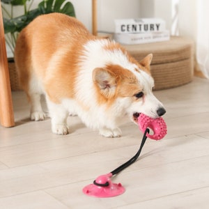 Tug of War Dog Toy, Suction Cup Dog Toy, Dog Pull Toy with Super Strong  Suction Cup, Dog Enrichment Toys for Medium and Large Dogs, Squeaky Dog Toys  with bite Resistant Elastic