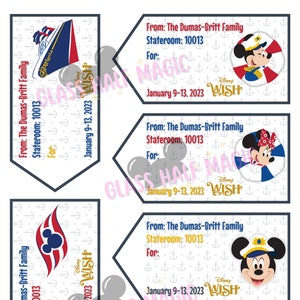 Disney Pin Trading Starter Set Fish Extender Gift Trading Pins 12 Pins &  Cards (2 sets of 6) Hidden Mickey Mystery Pins Cruise Fish Extender