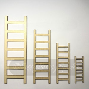 Wood ladder Decor for jumping spider,Inverts