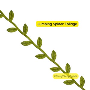 Foliage Ribbon for Jumping Spiders & other Inverts