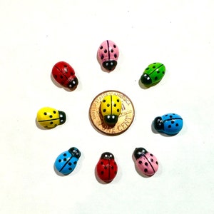 Jumping Decor ,Ladybugs,spider,arachnids,cute