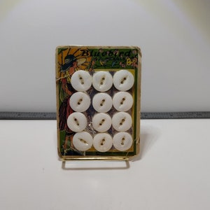 Hermosa Tarjeta Vintage "Bluebird Pearl" Botones