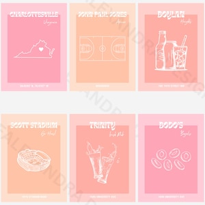 Op de afbeelding: Een set van zes grafische ontwerpposters in roze en perzikkleur met zes verschillende locaties in Charlottesville, Virginia. De posterset omvat de John Paul Jones Arena, het Scott Stadium, Boylan Heights, de Trinity Irish Pub, Bodo's Bagels en de omtrek van de staat Virginia.
