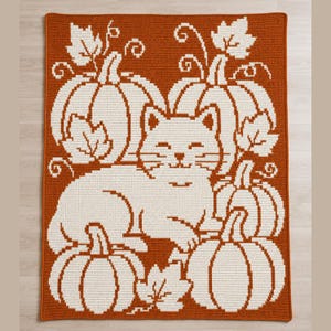 May include: A rectangular crochet blanket featuring a two-tone design with a burnt orange background and white yarn detailing. The pattern displays a central cat surrounded by four pumpkins and decorative leaves, creating a repeating seasonal motif.