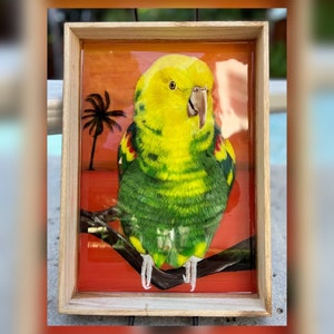 ONE-OF-A-KIND Christmas Gift - bring your pet a cool 3D effect!