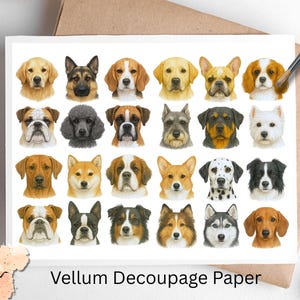 May include: Vellum decoupage paper featuring a collage of various dog breeds. The paper showcases detailed illustrations of different dog faces, including golden retrievers, poodles, and dalmatians. The text "Vellum Decoupage Paper" is printed on the paper.