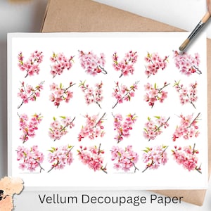 May include: Vellum decoupage paper featuring watercolor illustrations of pink cherry blossom branches. The paper has a white background and is surrounded by a brown paper and a hand holding a paintbrush.