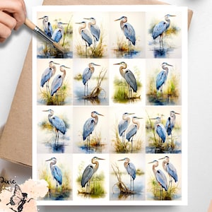 May include: Vellum decoupage paper featuring watercolor illustrations of blue herons in various poses. The paper has a grid of images with the text "Pixie Decoupage" and "Vellum Decoupage Paper" at the bottom.