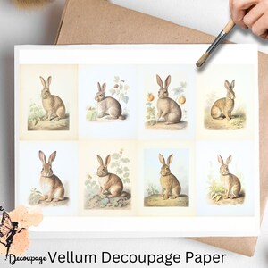 Vintage Hare  4 , One Sheet Decoupage Paper US Letter Size