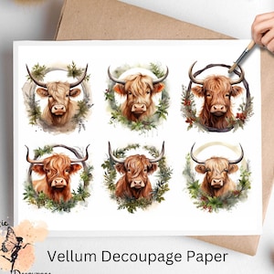 Highland Cow  2 , One Sheet Decoupage Paper US Letter Size