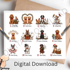Op de afbeelding: Een digitale print met twaalf genummerde illustraties van honden in feestelijke kleding, die de twaalf dagen van Kerstmis vertegenwoordigen. Elke scène toont een ander ras met thematische elementen zoals vogels, ringen, ganzen en muziekinstrumenten.