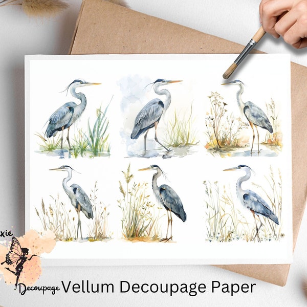 Gray Heron Collage 2, Decoupage Paper US Letter Size, Shipped To You