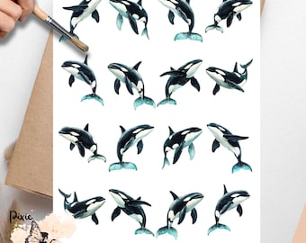Orca Whale 2, One Sheet Rice Paper US Letter Size