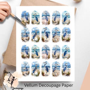 May include: Vellum decoupage paper featuring multiple oval illustrations of blue herons on a beach. Each image shows a heron standing on the sand with the ocean and sky in the background. The paper has the text "Vellum Decoupage Paper" at the bottom.