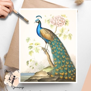 Vintage Peacock 2, un foglio di carta per decoupage formato lettera USA