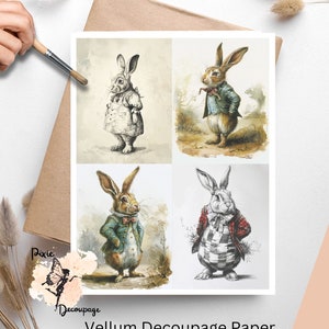 May include: Four different images of a rabbit wearing a suit and bow tie. The images are in black and white, watercolor, and a combination of both. The images are printed on vellum decoupage paper.