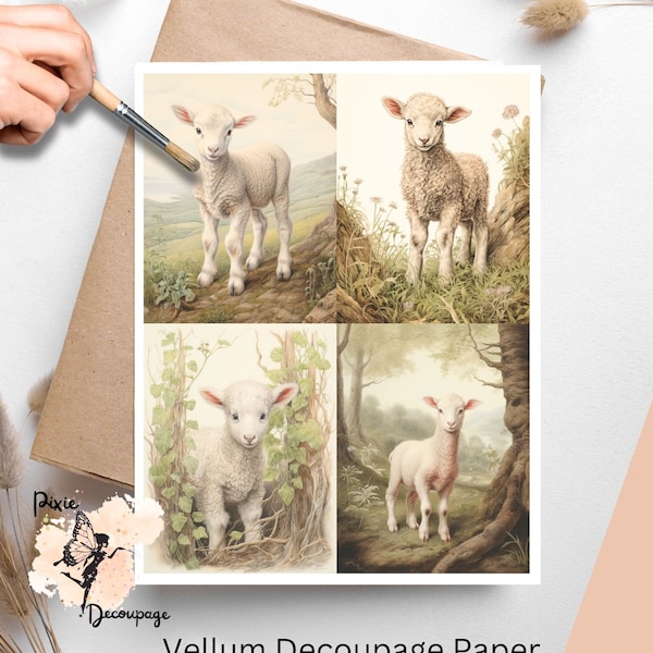 Vintage Lamb Collage 1, Decoupage Paper US Letter Size, Shipped To You