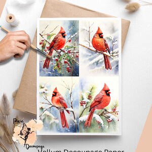 Cardinal in Snow  1 , One Sheet Decoupage Paper US Letter Size