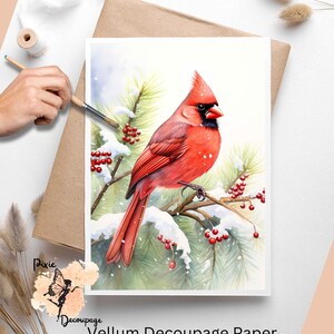 Cardinal in Snow 2 , One Sheet Decoupage Paper US Letter Size