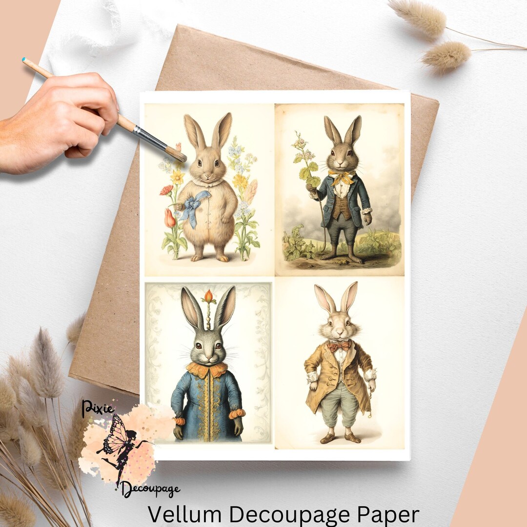 Vintage Rabbit 2 , One Sheet Rice Paper US Letter Size - Etsy