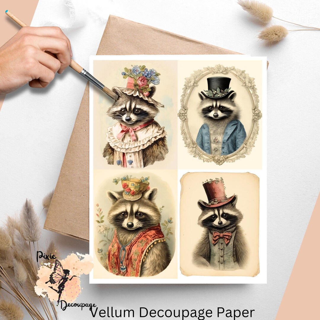 Vintage Raccoon Collage 2, Decoupage Paper US Letter Size, Shipped to ...