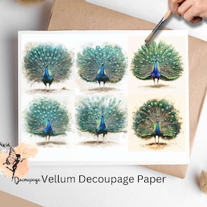 Peacock 1, un foglio di carta per decoupage formato lettera USA