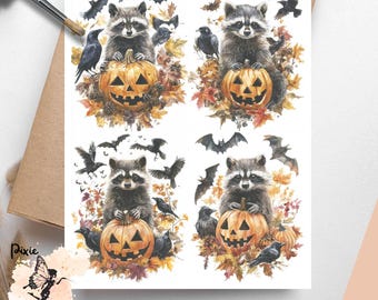 Raccoon with Pumpkins  2 , One Sheet Rice Paper US Letter Size
