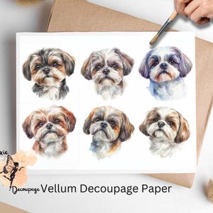 May include: Six watercolor illustrations of Shih Tzu dogs on white vellum decoupage paper. The dogs are facing forward with their tongues sticking out. The illustrations are in shades of brown, black, and white.