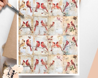 Cardinals 3, One Sheet Rice Paper US Letter Size