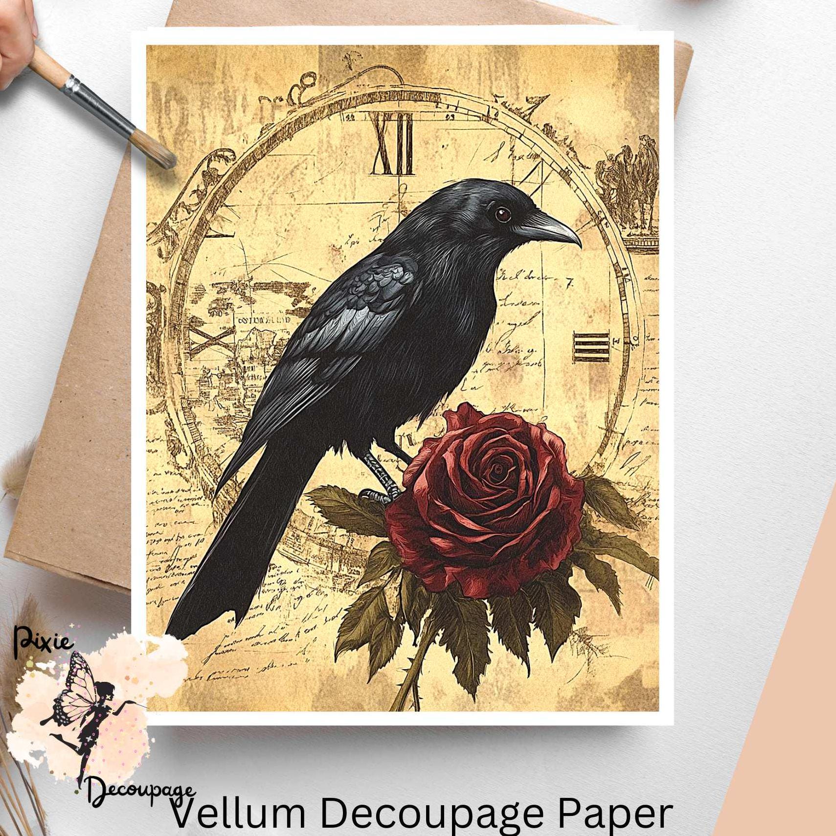 Vivie / Modern Raven 美品 Vintage Raven - Animal Still Life Wall Art Prints – 8″x10″ Artwork