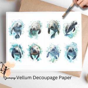 May include: Vellum decoupage paper featuring eight watercolor illustrations of manatees in various poses. Each manatee is depicted with a soft, gray body and surrounded by blue and green watercolor splashes. The text "Decoupage Vellum Decoupage Paper" is printed at the bottom.